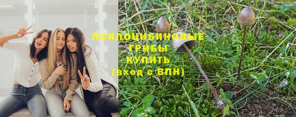 дмт Касимов
