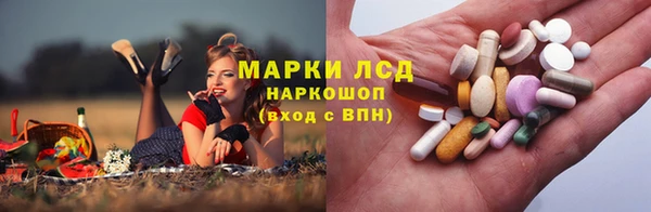дмт Касимов