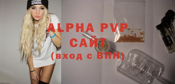дмт Касимов