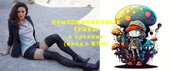 прущая мука Карпинск
